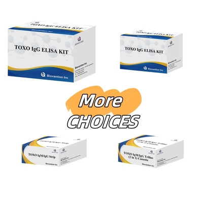 TOXO Ig G Sensitive and Specific Elisa Test Kit untuk Pemantauan Penyakit