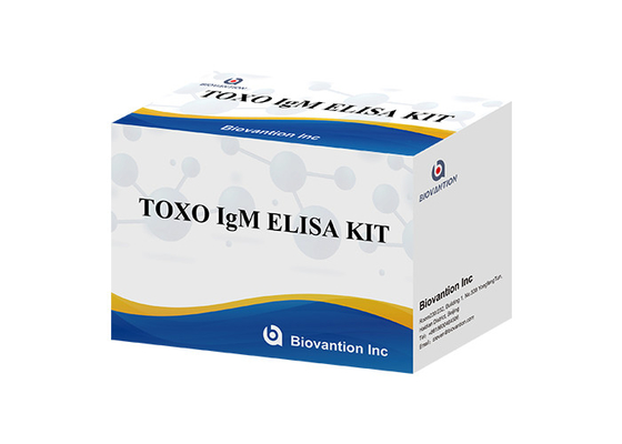TOXO Ig G Sensitive and Specific Elisa Test Kit untuk Pemantauan Penyakit