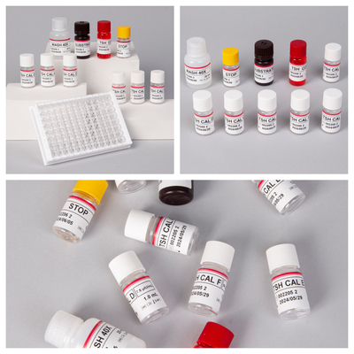 TSH (Quantitative) Sensitive And Specific Elisa Test Kit Untuk Gangguan Tiroid
