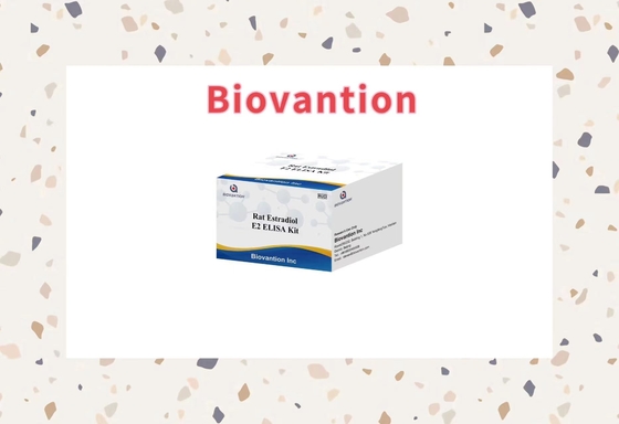 Spesifisitas Biovantion Rat Estradiol E2 Elisa Test Kit - 96 Tes Penyimpanan Pada 2-8.C
