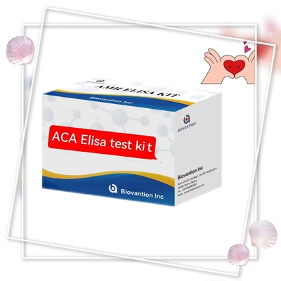 Spesifisitas 2-3 Jam Anti-ACA IgM Elisa Tes Hewan Dengan Masa Pelayaran 18 Bulan