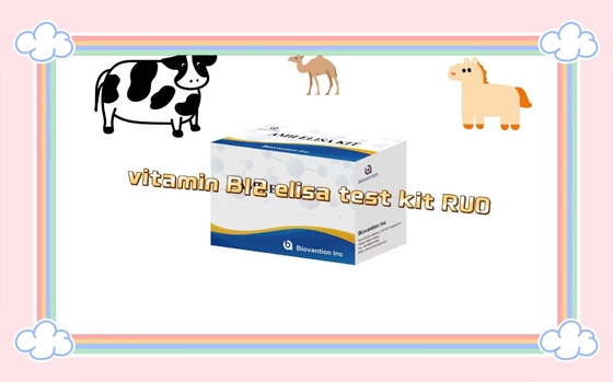 Vitamin B12 Elisa Test Kit Of Enzyme-Linked Product RESEARCH USE ONLY Test pada hewan