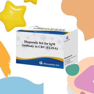 18 Bulan Shelf Life Test Immunosorbent Enzyme-Linked Assay untuk IgM Antibodi Untuk CBV