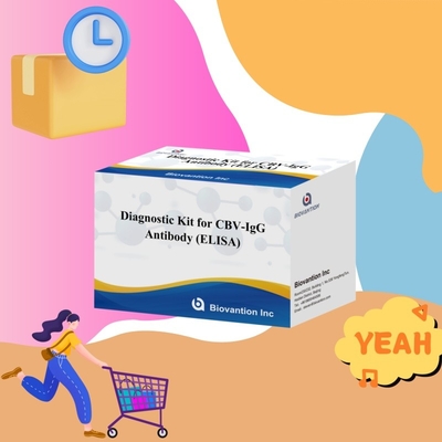 Kit Diagnostik Sensitivitas untuk Antibodi CBV-IgG manusia mendeteksi Elisa Kits untuk Deteksi Jenis Sampel yang Tepat