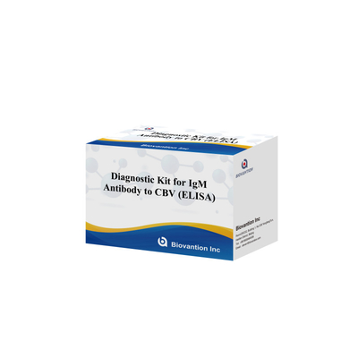 Kit Diagnostik Sensitivitas untuk Antibodi CBV-IgG manusia mendeteksi Elisa Kits untuk Deteksi Jenis Sampel yang Tepat