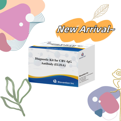 Kit Diagnostik Sensitivitas untuk Antibodi CBV-IgG manusia mendeteksi Elisa Kits untuk Deteksi Jenis Sampel yang Tepat