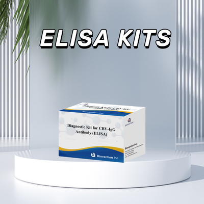 Kit Diagnostik Sensitivitas untuk Antibodi CBV-IgG manusia mendeteksi Elisa Kits untuk Deteksi Jenis Sampel yang Tepat