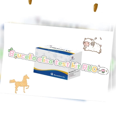 Kits pengujian Brucella elisa RUO Elisa Test Kit Of Enzyme-Linked Product RESEARCH USE ONLY Animal Test