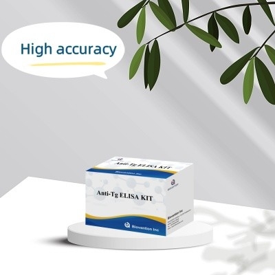Elisa Diagnostic Kit Untuk Antibodi Antithyroglobulin Manusia Anti-Tg Untuk Rumah Sakit Dan Laboratorium