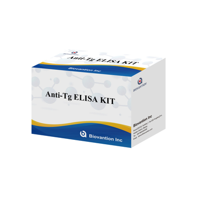 Elisa Diagnostic Kit Untuk Antibodi Antithyroglobulin Manusia Anti-Tg Untuk Rumah Sakit Dan Laboratorium