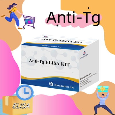 Elisa Diagnostic Kit Untuk Antibodi Antithyroglobulin Manusia Anti-Tg Untuk Rumah Sakit Dan Laboratorium