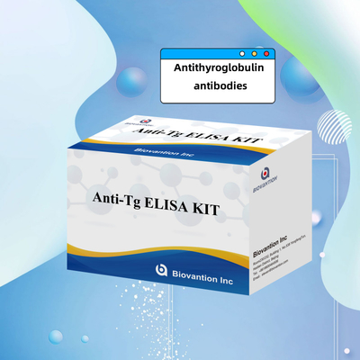 Elisa Diagnostic Kit Untuk Antibodi Antithyroglobulin Manusia Anti-Tg Untuk Rumah Sakit Dan Laboratorium