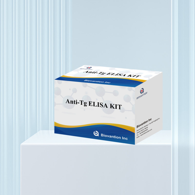 Elisa Diagnostic Kit Untuk Antibodi Antithyroglobulin Manusia Anti-Tg Untuk Rumah Sakit Dan Laboratorium