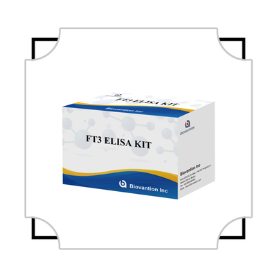 FT3 Free Triiodothyronine Untuk Kit Reagen Diagnostik Manusia Dengan 96T Tes ELISA Untuk Laboratorium Rumah Sakit Klinik