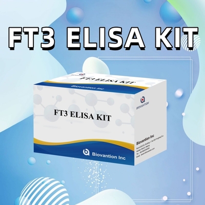 FT3 Free Triiodothyronine Untuk Kit Reagen Diagnostik Manusia Dengan 96T Tes ELISA Untuk Laboratorium Rumah Sakit Klinik
