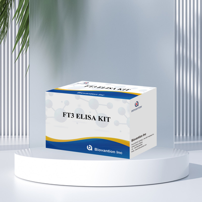 FT3 Free Triiodothyronine Untuk Kit Reagen Diagnostik Manusia Dengan 96T Tes ELISA Untuk Laboratorium Rumah Sakit Klinik