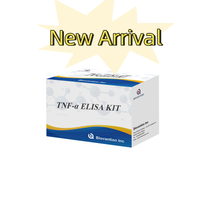 TNF-α RUO Elisa Test Untuk Plasma Serum Solusi diagnostik yang akurat dan nyaman untuk penelitian