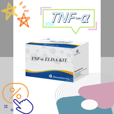 TNF-α RUO Elisa Test Untuk Plasma Serum Solusi diagnostik yang akurat dan nyaman untuk penelitian