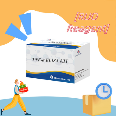 TNF-α RUO Elisa Test Untuk Plasma Serum Solusi diagnostik yang akurat dan nyaman untuk penelitian