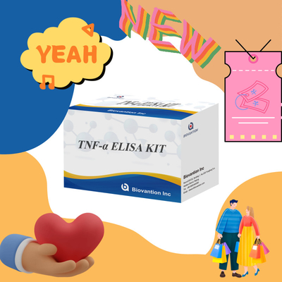 TNF-α RUO Elisa Test Untuk Plasma Serum Solusi diagnostik yang akurat dan nyaman untuk penelitian