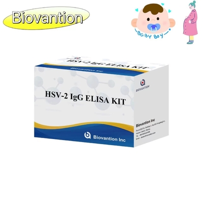 Instruksi Keakuratan Tinggi untuk Penggunaan Kit Uji ELISA Torch IgG HSV II