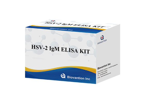 Kit Tes HSV 2 IgM Torch ELISA Keakuratan Tinggi Instruksi Penggunaan