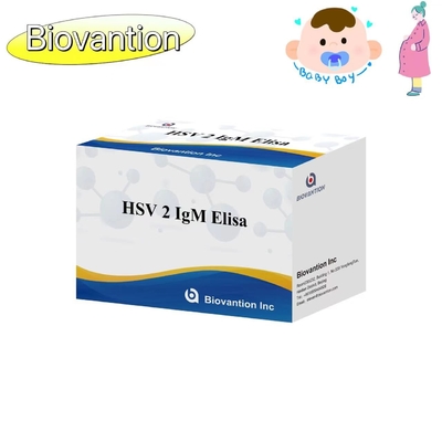 Kit Tes HSV 2 IgM Torch ELISA Keakuratan Tinggi Instruksi Penggunaan