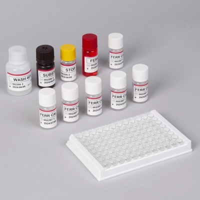 Ferritin Elisa Test Kit Produk Terkait Enzim Waktu Pengangkutan Pendek