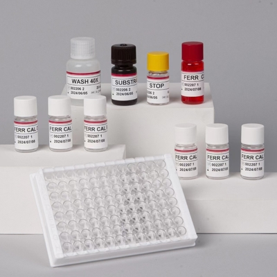 Ferritin Elisa Test Kit Produk Terkait Enzim Waktu Pengangkutan Pendek