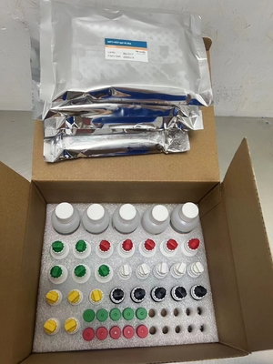 Antibodi HCV terhadap Virus Hepatitis C Waktu Transportasi Terkait Enzim Pendek