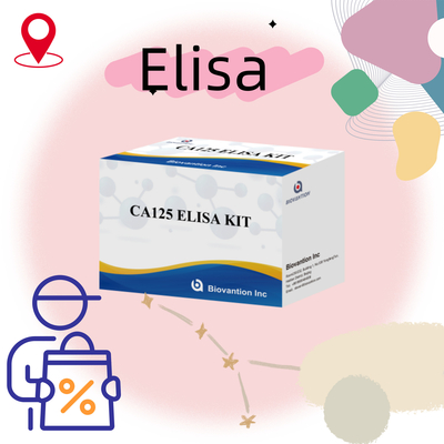 Biovantion CA125 ((Kuantitatif) Masa Pelapisan 18 Bulan Elisa Test Kit Dengan Sensitivitas Dan Spesifisitas