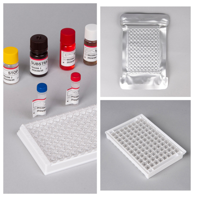 HIV Ab Ag Elisa Test Kits Dengan Umur 18 Bulan Dan Sensitivitas / Spesifisitas Tinggi