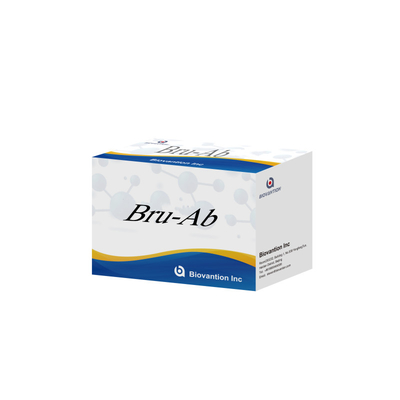 Bru Ab Precision ELISA Test Kit untuk Deteksi yang Ditargetkan Dengan CE ISO 13485