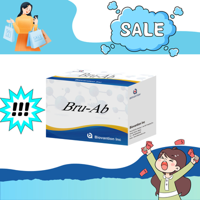 ELISA Hewan Bru-Ab Reagen Elisa Dengan 192t Untuk Babi Kambing Sapi Dan Domba