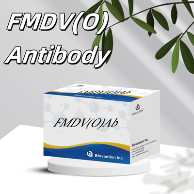 Virus Kanker Sapi O Antibodi Rapid Test Kit FMD FMDV Deteksi penyakit ternak yang menghancurkan