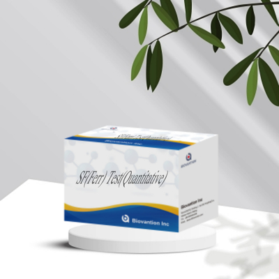 Kit Tes ELISA yang Akurat dan Cepat Instrumen Veteriner untuk Deteksi Kuantitatif Serum Ferritin Diagnosis