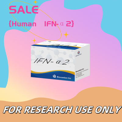 Elisa Reagents Kit Human IFN-α2 untuk Penelitian Penggunaan Elisa Reagents Sensitivitas tinggi