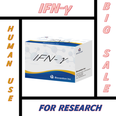 Penelitian laboratorium Elisa Reagen Kit untuk penggunaan manusia IFN-γ Elisa Reagen Sensitivitas tinggi