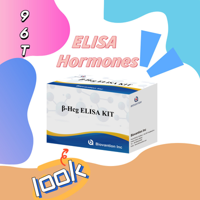β-hCG ((Quantitative) 1 Jam Elisa Test Kit untuk Sensitivitas dan Spesifisitas Antibodi