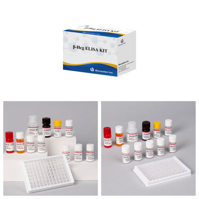 β-hCG ((Quantitative) 1 Jam Elisa Test Kit untuk Sensitivitas dan Spesifisitas Antibodi