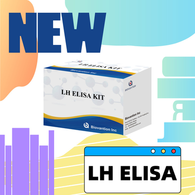 Biovantion ELISA Test Kit untuk diagnosis Human Luteinizing Hormone LH (Quantitative)