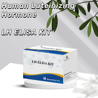 Biovantion ELISA Test Kit untuk diagnosis Human Luteinizing Hormone LH (Quantitative)