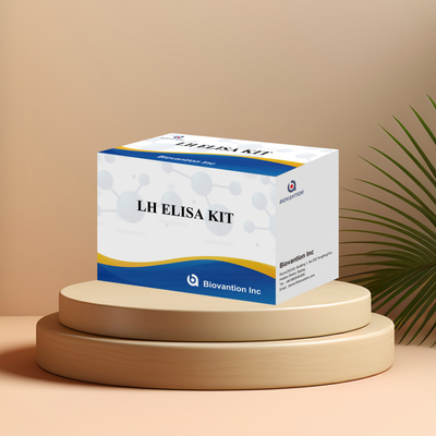Biovantion ELISA Test Kit untuk diagnosis Human Luteinizing Hormone LH (Quantitative)