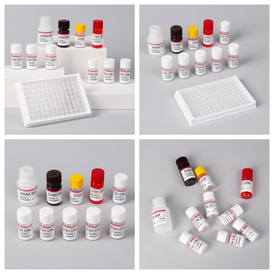 18 Bulan Masa Pelapisan Sensitivitas FSH (Kuantitatif) Kit ELISA untuk Deteksi Antigen Antibodi
