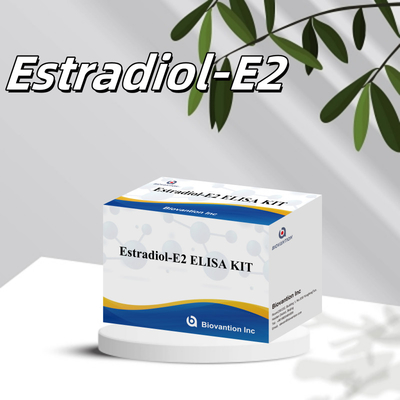 Biovantion Estradiol Quantitative 96-Well Plate Test Kit untuk Sampel Serum dengan Sensitivitas yang Ditingkatkan