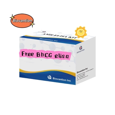 Gratis BhCG Elisa Test Kit Serum Penyimpanan 2-8.C Delapan belas Masa Pelapisan