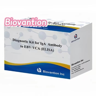 Kit ELISA EBV VCA IgA Sensitivitas Tinggi untuk Diagnosis Medis menggunakan Sampel Serum 50μl
