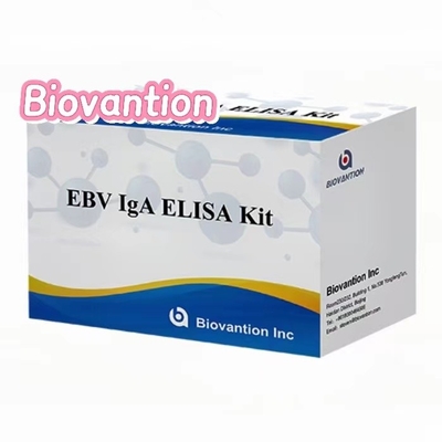 IgA antibodi terhadap EBNA1 Elisa Test Kit Serum 50μL Format Sampel Kit