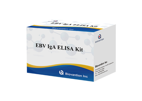 IgA antibodi terhadap EBNA1 Elisa Test Kit Serum 50μL Format Sampel Kit