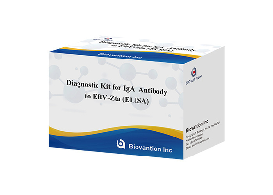 Kit Diagnostik untuk IgA Antibodi terhadap EBV-Zta ELISA TEST KIT Kit Tes Immunosorbent Assay